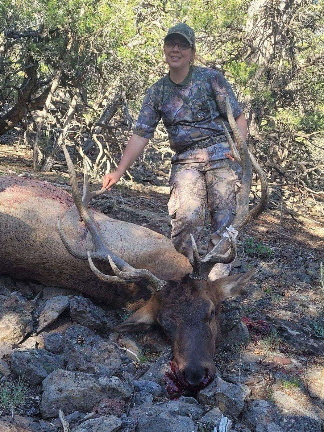 Colorado Elk Hunts