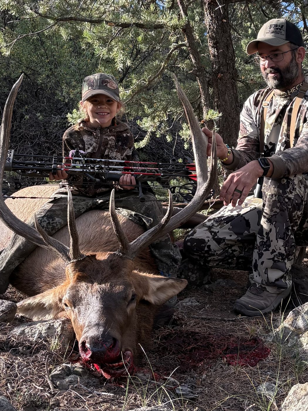 Ridgeline Wilderness — Elk — a bull elk taken on the Western Slope
