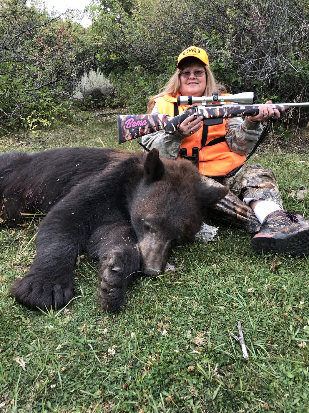 Ridgeline Wilderness — Bear — a Colorado black bear taken on a fall hunt