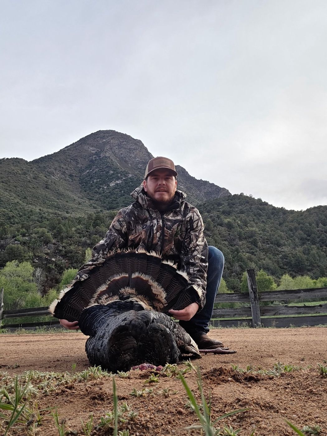 Ridgeline Wilderness — Turkey — Colorado Western Slope hunt