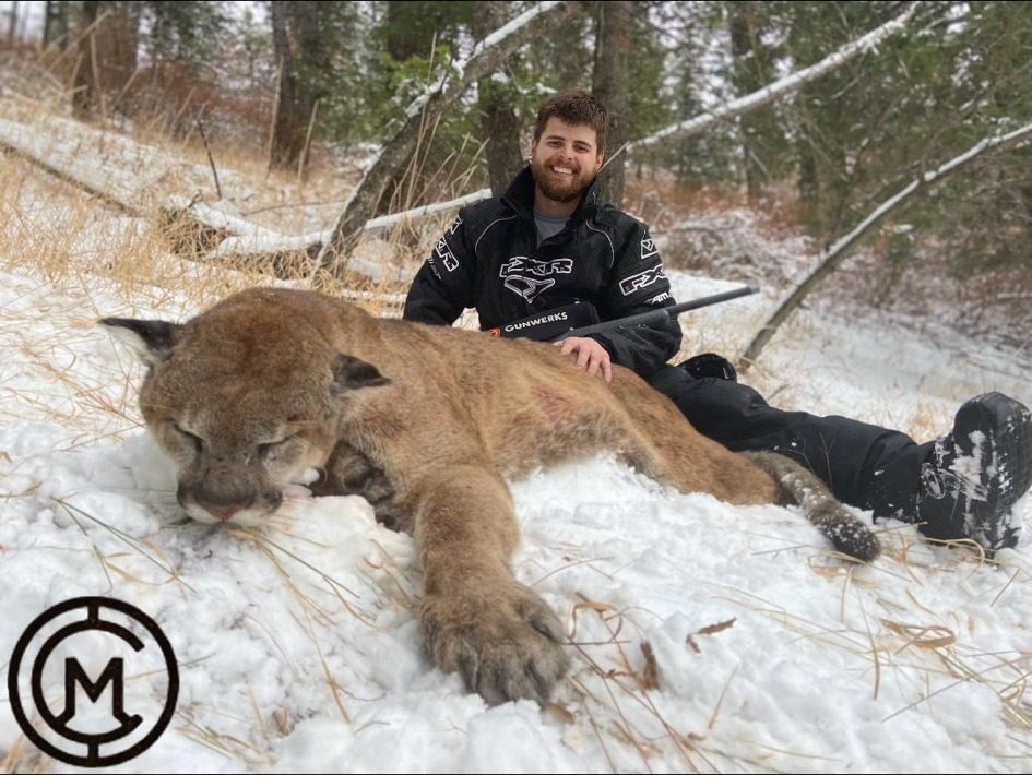 Colorado mountain lion taken on a Ridgeline Wilderness hound hunt